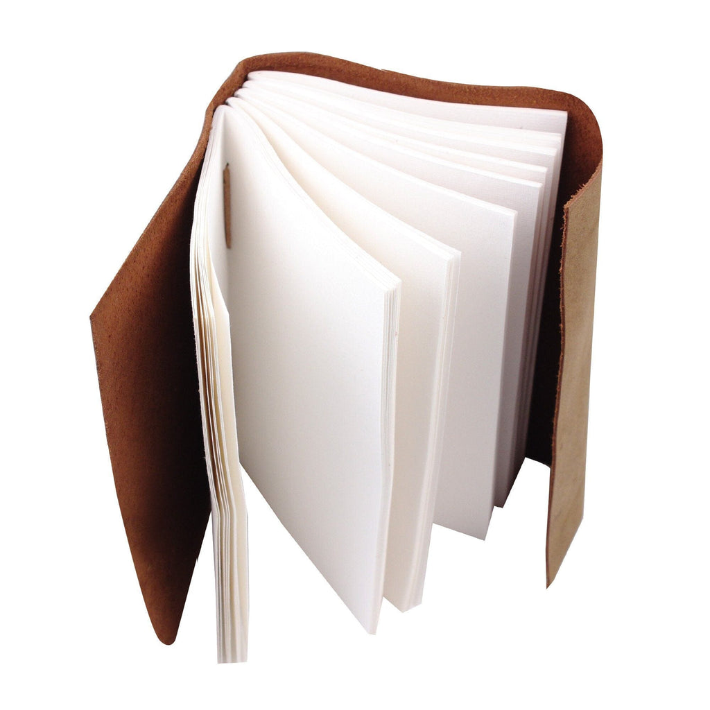 The Sapling Notebook